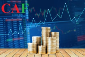 Soát xét báo cáo tài chính