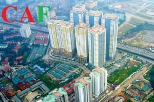 Động sản và bất động sản