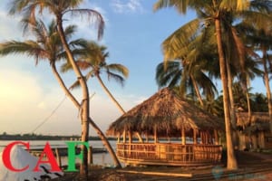 Công ty dịch vụ kiểm toán độc lập ở Bến Tre