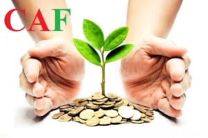 Công ty kiểm toán tại Bình Thạnh TP HCM