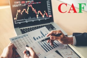 Dịch vụ kiểm toán độc lập