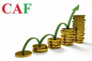 Dịch vụ soát xét báo cáo tài chính tại quận 9 TP HCM