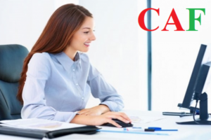 Kiểm toán bctc tỉnh An Giang   