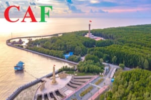 Kiểm toán tại Cà Mau