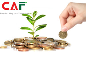 Quy chế tài chính là gì