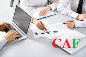 Thuê kiểm toán độc lập tại Cà Mau