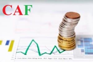 Công ty soát xét báo cáo tài chính quận 7