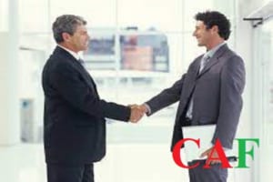 Báo giá kiểm toán độc lập tại Cà Mau