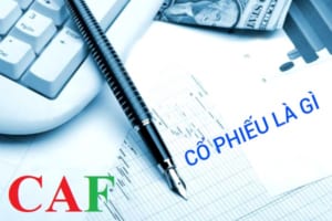 Công ty kế toán kiểm toán CAF là một trong những công ty cung cấp dịch vụ uy tín chuyên nghiệp