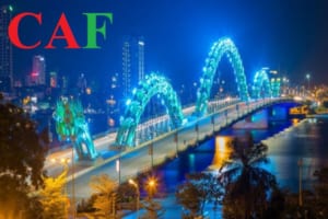 Công ty kế toán kiểm toán uy tín tại TP Đà Nẵng 