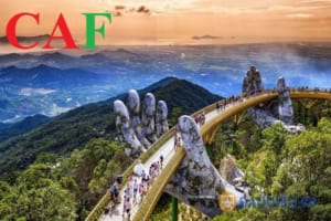 Dịch vụ kiểm toán quận Hải Châu Đà Nẵng