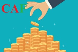 Kiểm toán báo cáo tài chính là gì