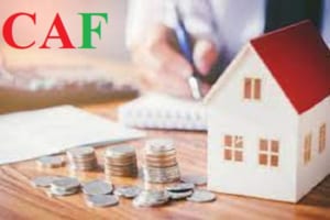 Kiểm toán báo cáo tài chính ở Ninh Kiều Cần Thơ