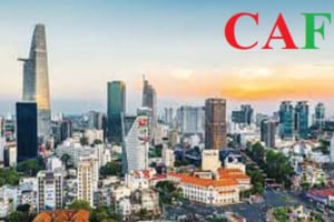 Kiểm toán độc lập tại Hậu Giang