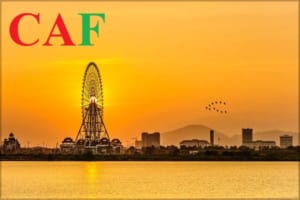 Nội dung cơ bản về hoạt động kiểm toán bctc tại Đà Nẵng mà CAF đang cung cấp