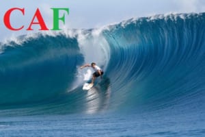 Phí dịch vụ kiểm toán độc lập ở huyện Phong Điền Cần Thơ mà CAF đang cung cấp