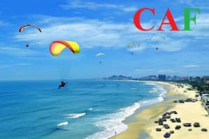 Quy trình cung cấp dịch vụ kiểm toán tại Cẩm Lệ Đà Nẵng bao gồm mấy bước