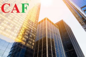 Về công ty kế toán kiểm toán