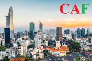 Dịch vụ Làm giấy phép lao động tại TP HCM