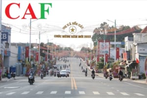 Dịch vụ xin giấy phép lao động ở Bến Cát Bình Dương