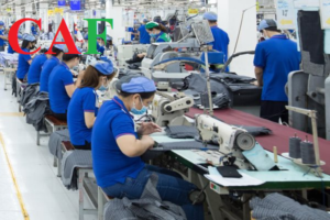 Kinh nghiệm làm kế toán trong công ty may mặc