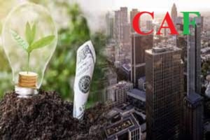 Nội dung nghị định 152022NĐ-CP về chính sách miễn giảm thuế