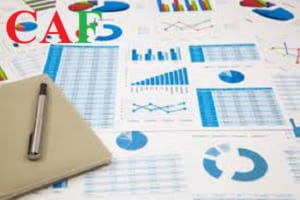 Phí mở lại mã số thuế