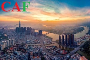 Công ty dịch vụ kế toán CAF tại quận 2 TP HCM