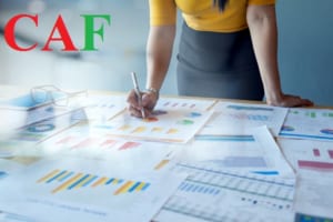 Công ty dịch vụ kế toán ở Tân Trụ Long An