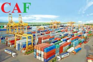 Cách viết hóa đơn đầu ra đối với hàng hóa xuất khẩu