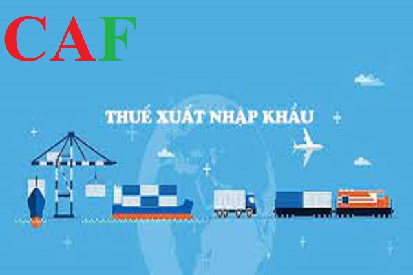 Kinh nghiệm làm kế toán nhập khẩu xuất khẩu và cách hạch toán