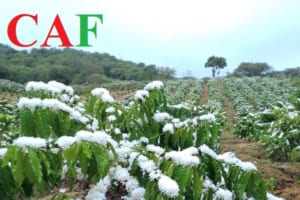 Mã ngành nghề nông nghiệp lâm nghiệp và thủy sản