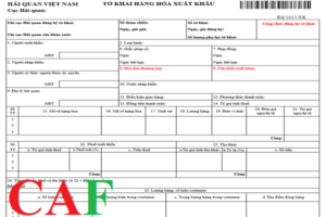 Tờ khai hải quan là gì và những vấn đề kế toán cần nắm