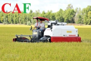 Cách để bạn đăng ký kinh doanh hộ gia đình nhanh chóng