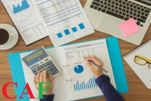 Công ty mẹ tối cao của tập đoàn là gì