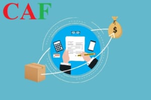 Phương thức thanh toán nhờ thu collection