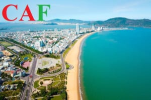 Bảng giá dịch vụ kiểm toán vốn góp công ty tại tỉnh Bình Định