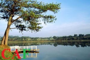 Cần chuẩn bị gì trước khi kiểm toán tại tỉnh Lâm Đồng