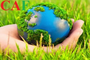 Mặt hàng nào chịu thuế bảo vệ môi trường