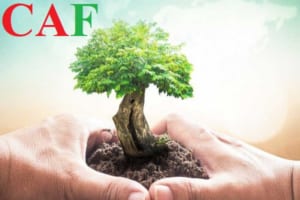 Thuế bảo vệ môi trường cập nhật đến 2023