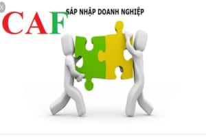 Tổng quan về sáp nhập doanh nghiệp