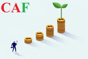 Dịch vụ xin giấy phép đầu tư