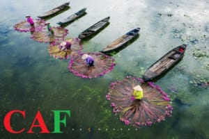 Khởi nghiệp gì tại Long An