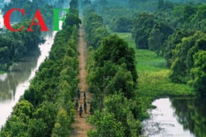 Tiềm năng phát triển tỉnh Long An