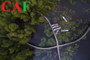 Tiềm năng và cơ hội đầu tư tỉnh Long An