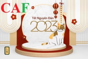 Đi làm ngày nghỉ lễ tết tính tiền lương thế nào