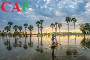 Dịch vụ kiểm toán để vay ngân hàng tại An Giang