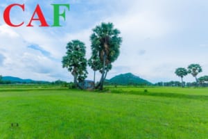 Những ngành kinh tế trọng điểm tỉnh An Giang