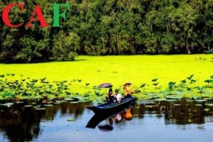 Những địa điểm du lịch đẹp tại An Giang