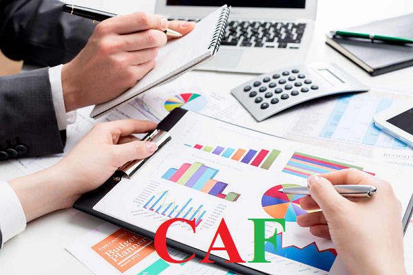 Báo cáo tài chính riêng lẻ và báo cáo tài chính hợp nhất